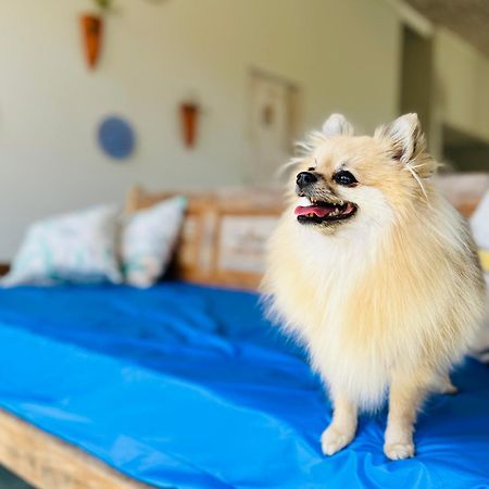 Pousada Baia Das Conchas Ubatuba Ngoại thất bức ảnh